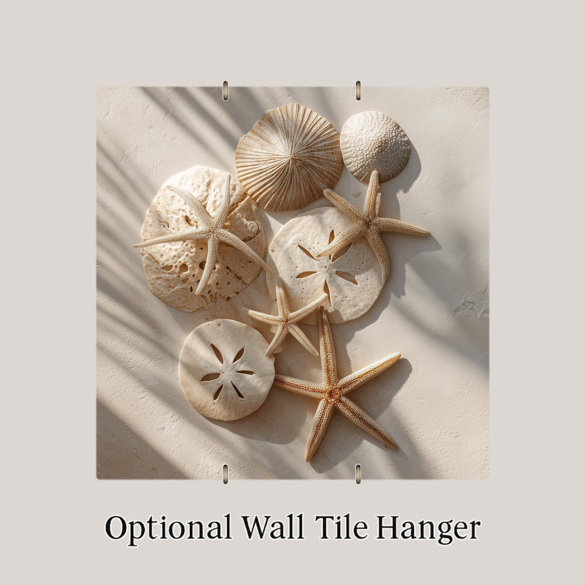 Starfish Sand Dollar Wall Art Ceramic Tile Coastal Beach Decor Nautical Wall Decor Ocean Beach House Gift Accent Tile