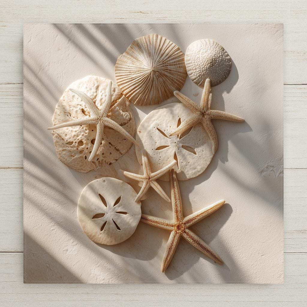 Coastal tile art with ivory sand dollars and tan starfish. Permanent ceramic print. Optional hanger, cork backing, or easel stand included.