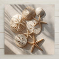 Coastal tile art with ivory sand dollars and tan starfish. Permanent ceramic print. Optional hanger, cork backing, or easel stand included.