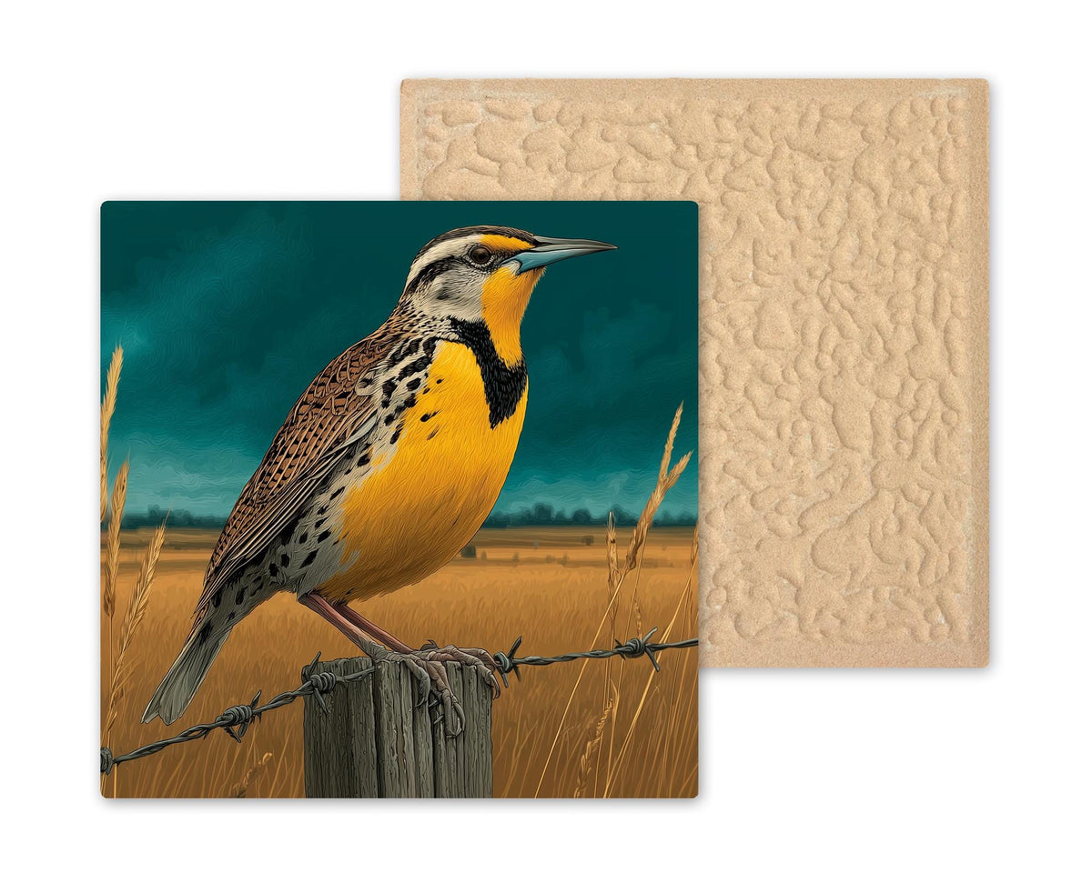 Meadowlark Wall Art Ceramic Tile State Bird Gift Kansas Nebraska Prairie Nature Birdwatcher Place Identity Art