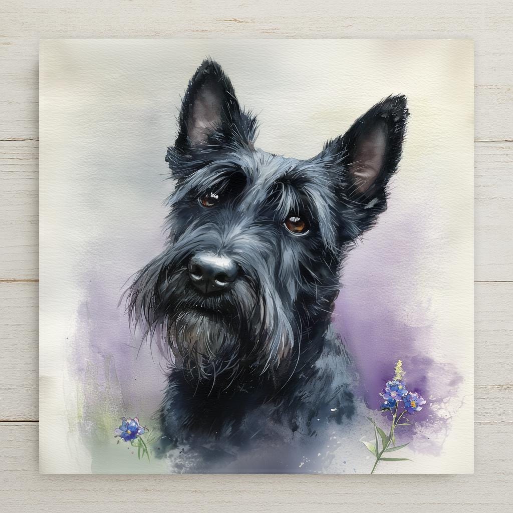 Watercolor portrait of a black Scottish Terrier with upright ears, wiry beard and eyebrows, head turned with one brown eye visible, purple wash behind and small blue-violet wildflowers at the lower corners, printed on a glossy ceramic art tile.