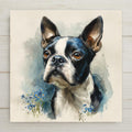 Watercolor and ink portrait of a black and white Boston Terrier with upright ears and amber eyes, looking up, with blue forget-me-not flowers at the base on cream paper, printed on a glossy ceramic art tile.